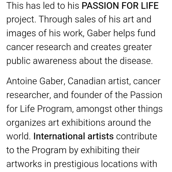 Antoine Gaber "Poppies in the Garden 7" Painting - Picture 7 of 9